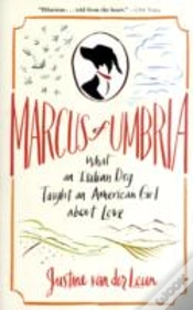 Capa do artigo Marcus Of Umbria