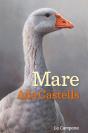 Mare - Preview