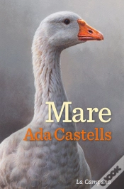 Capa do artigo Mare