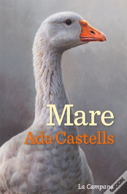 Capa do artigo Mare