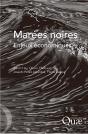 Marées Noires ; Enjeux Économiques - Preview