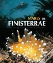 Capa do artigo Mares De Finisterrae