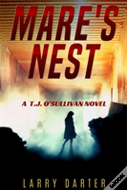 Capa do artigo Mare'S Nest
