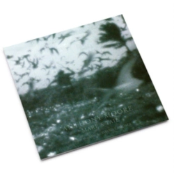 Capa do artigo Mare's Tail - Vinil