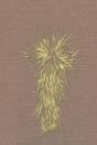 Marfa And Presidio County, Texas: A Soci - Preview