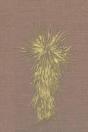 Marfa And Presidio County, Texas: A Soci - Preview