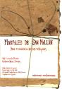 Marfiles De San Millan - Preview