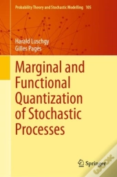 Marginal And Functional Quantization Of Stochastic Processes
