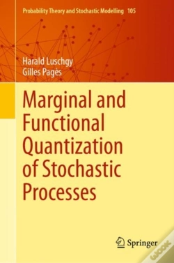 Capa do artigo Marginal And Functional Quantization Of Stochastic Processes