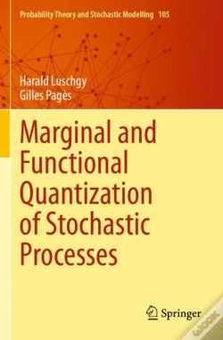 Capa do artigo Marginal And Functional Quantization Of Stochastic Processes