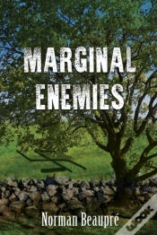 Capa do artigo Marginal Enemies