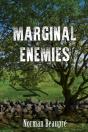 Marginal Enemies - Preview