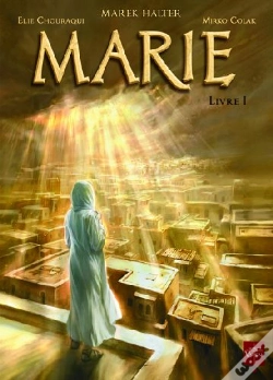 Capa do artigo Marie T.1