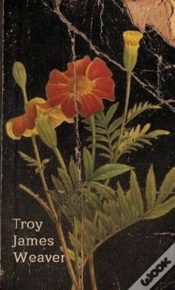 Capa do artigo Marigold