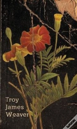 Capa do artigo Marigold