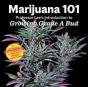 Marijuana 101 - Preview