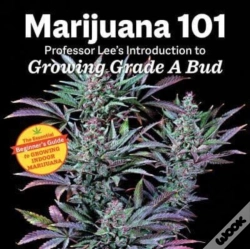 Capa do artigo Marijuana 101