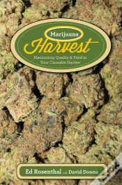 Capa do artigo Marijuana Harvest