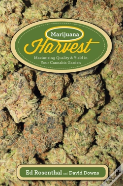 Capa do artigo Marijuana Harvest