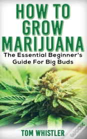 Capa do artigo Marijuana