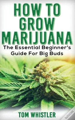 Capa do artigo Marijuana