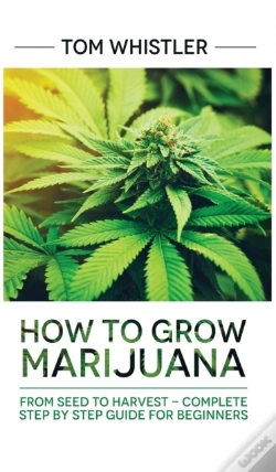 Capa do artigo Marijuana
