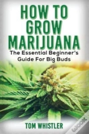 Capa do artigo Marijuana