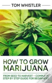 Capa do artigo Marijuana