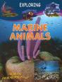 Marine Animals - Preview