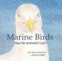 Marine Birds - Preview