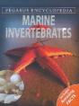 Marine Invertebrates - Preview