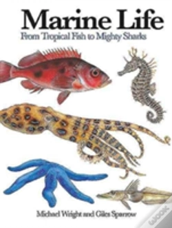 Capa do artigo Marine Life