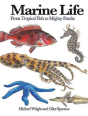 Marine Life - Preview