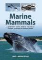 Marine Mammals - Preview