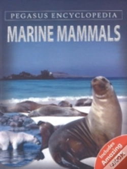 Capa do artigo Marine Mammals