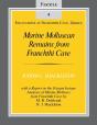 Marine Molluscan Remains From Franchthi Cave - Preview
