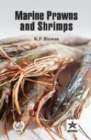 Marine Prawns And Shrimps