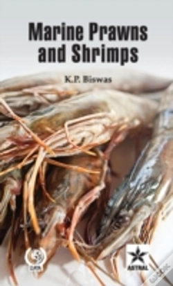 Capa do artigo Marine Prawns And Shrimps