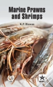 Marine Prawns And Shrimps