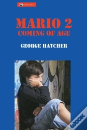 Capa do artigo Mario 2