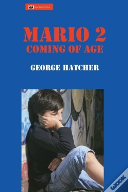Capa do artigo Mario 2