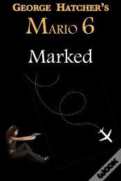 Capa do artigo Mario 6