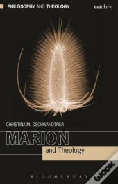Marion And Theology