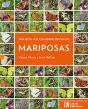 Mariposas - Preview