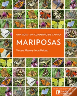 Capa do artigo Mariposas