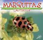 Mariquitas - Preview