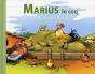 Marius Le Coq - Preview