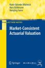Market-Consistent Actuarial Valuation - Preview