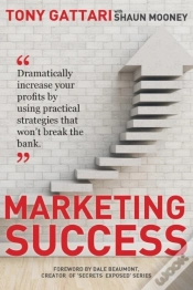 Capa do artigo Marketing Success