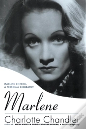 Capa do artigo Marlene
